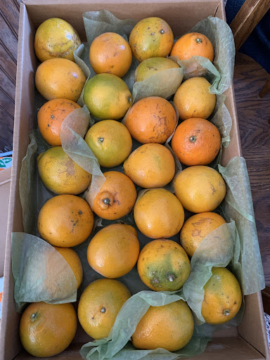 Gift Shop «Harry & David», reviews and photos, 500 Reliance Dr, Hebron, OH 43025, USA