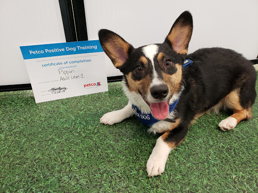 Pet Supply Store «Petco Animal Supplies», reviews and photos, 16434 N Marketplace Blvd, Nampa, ID 83651, USA