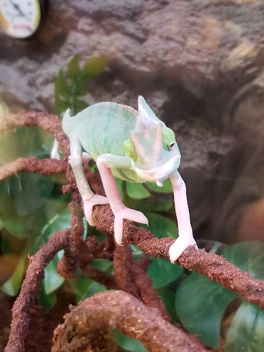 Pet Supply Store «Petco Animal Supplies», reviews and photos, 860 Broadway, New York, NY 10003, USA