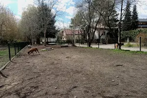 Psia Łączka- Wybieg dla psów image