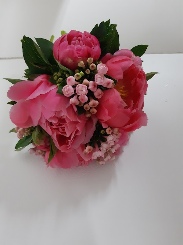 Flores Arantza