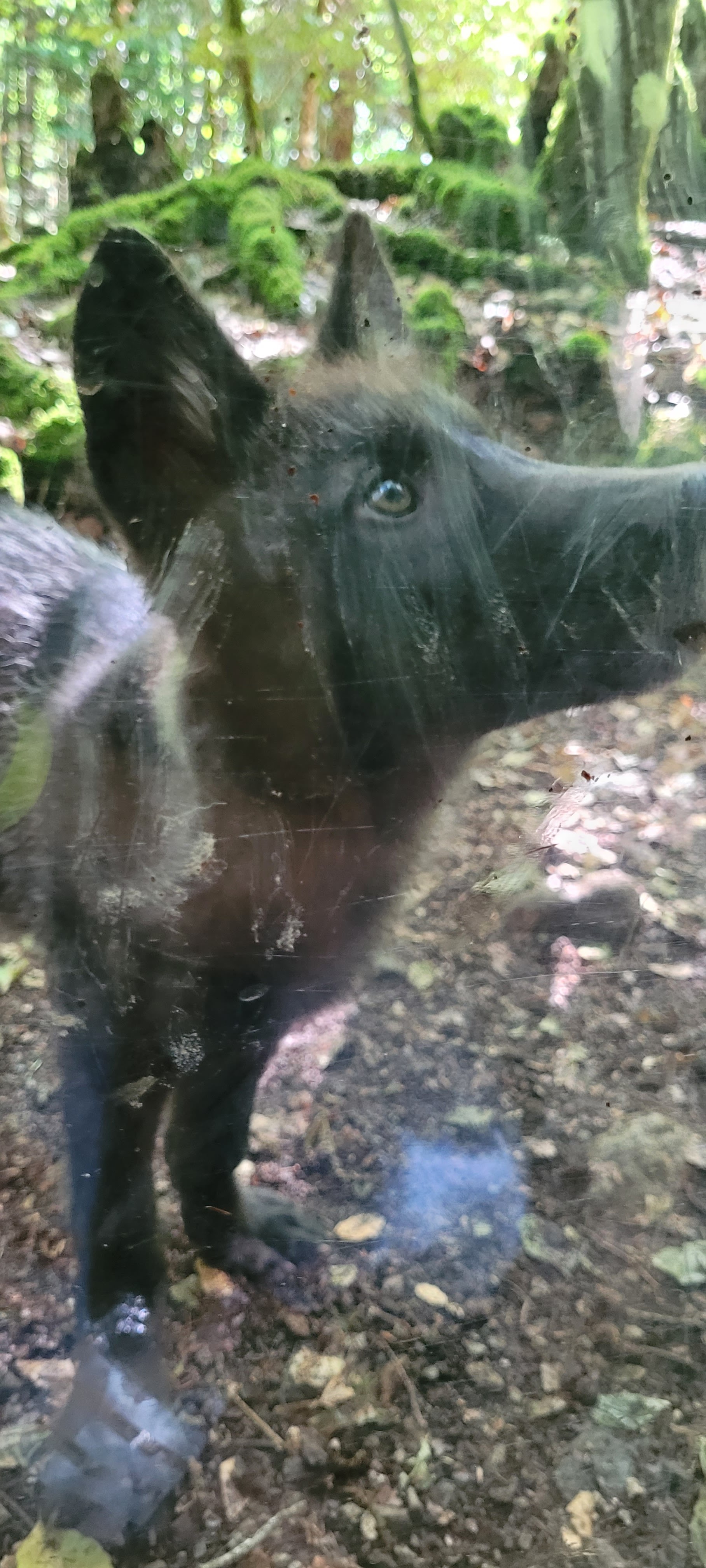 Photo n° 2 de l'avis de Pamela.a fait le 18/09/2022 à 12:17