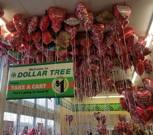 Dollar Store «Dollar Tree», reviews and photos, 30887 Orchard Lake Rd, Farmington Hills, MI 48334, USA