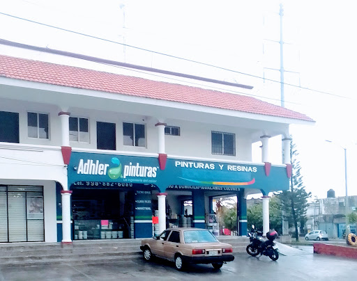 Pinturas Y Resinas Pachecho