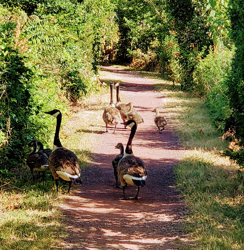 Recreation Center «Secaucus Rec Center Services», reviews and photos, 1200 Koelle Blvd, Secaucus, NJ 07094, USA