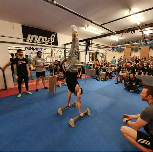 NinjaFit Calisthenics