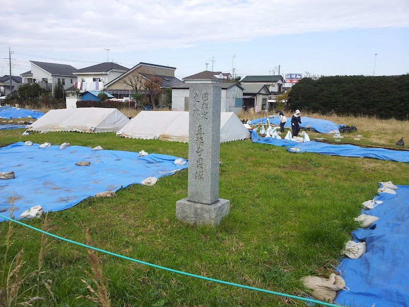 真福寺貝塚 埼玉県さいたま市岩槻区 史跡 グルコミ
