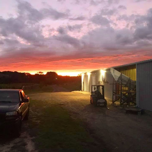 Winery «Gravity Vineyards and Winery», reviews and photos, 10220 Lauer Rd, Baroda, MI 49101, USA