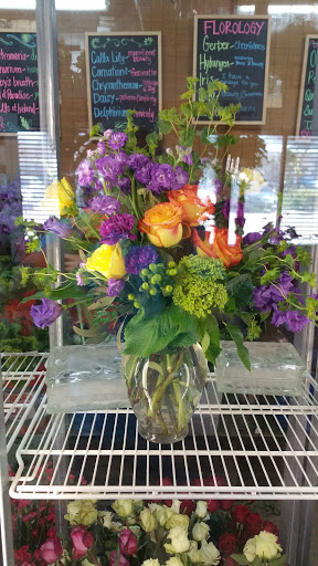 Florist «Carrollwood Florist», reviews and photos, 11745 N Dale Mabry Hwy, Tampa, FL 33618, USA