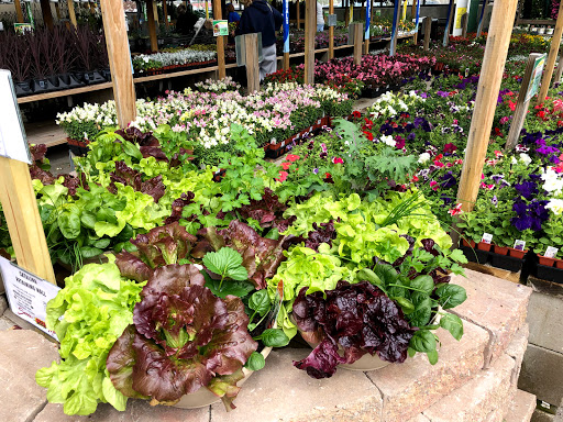 Home Improvement Store «Menards», reviews and photos, 6405 Jackson Rd, Ann Arbor, MI 48103, USA