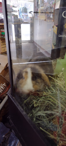 Pet Store «Pet Advantage», reviews and photos, 350 Dorset St # 1, South Burlington, VT 05403, USA