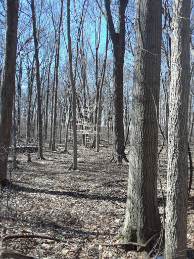Nature Preserve «Red Oaks Nature Center», reviews and photos, 30300 Hales St, Madison Heights, MI 48071, USA