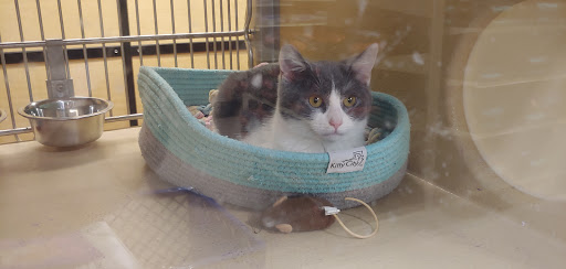 Pet Supply Store «PetSmart», reviews and photos, 2028 Miamisburg Centerville Rd, Dayton, OH 45459, USA