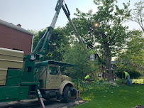 20/20 Landscaping & Tree Service - Photo 5 - Car repair in Crafton, PA, Pittsburgh