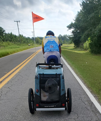 Bicycle Store «Champion Cycling Inc», reviews and photos, 1303 3rd St N, Jacksonville Beach, FL 32250, USA