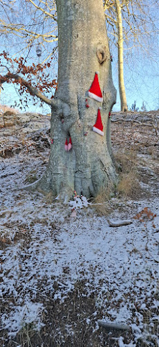 Bangsbo Botaniske Have - Frederikshavn