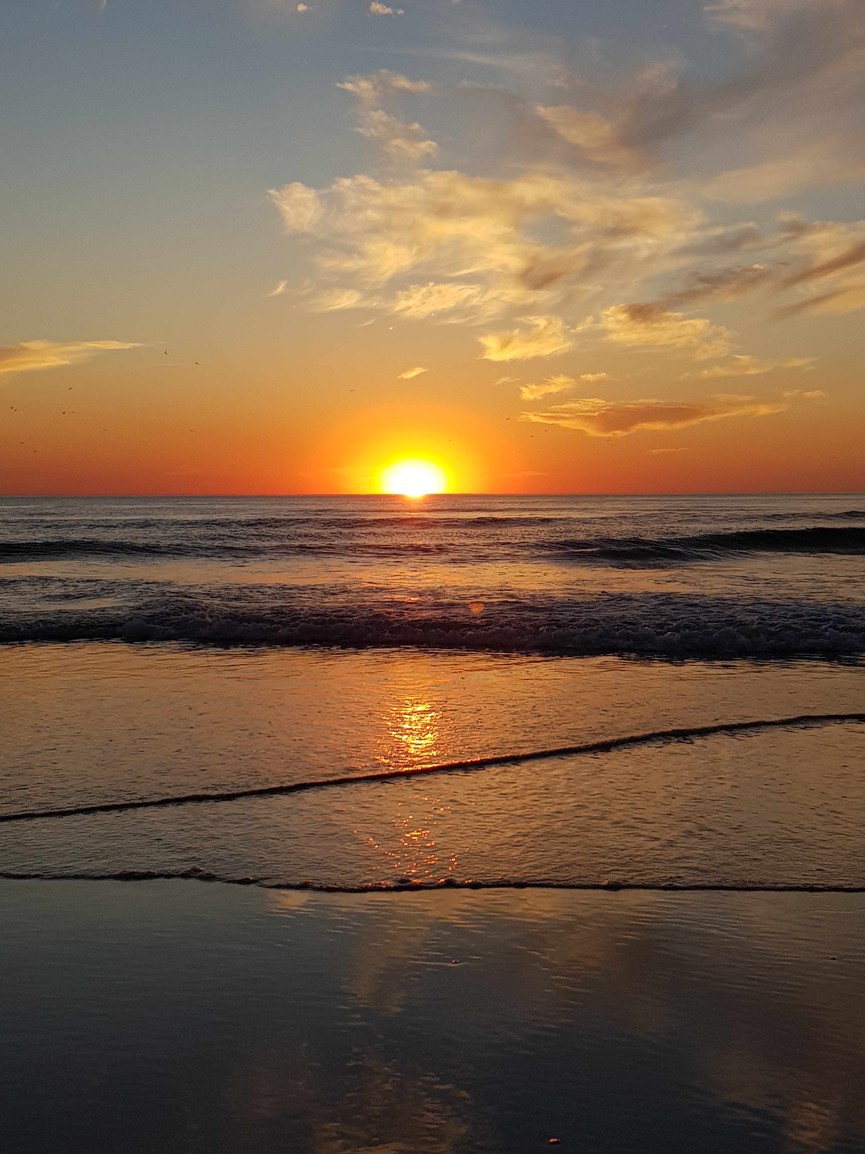 Photo n° 15 de l'avis de Rose.a fait le 12/08/2022 à 12:53
