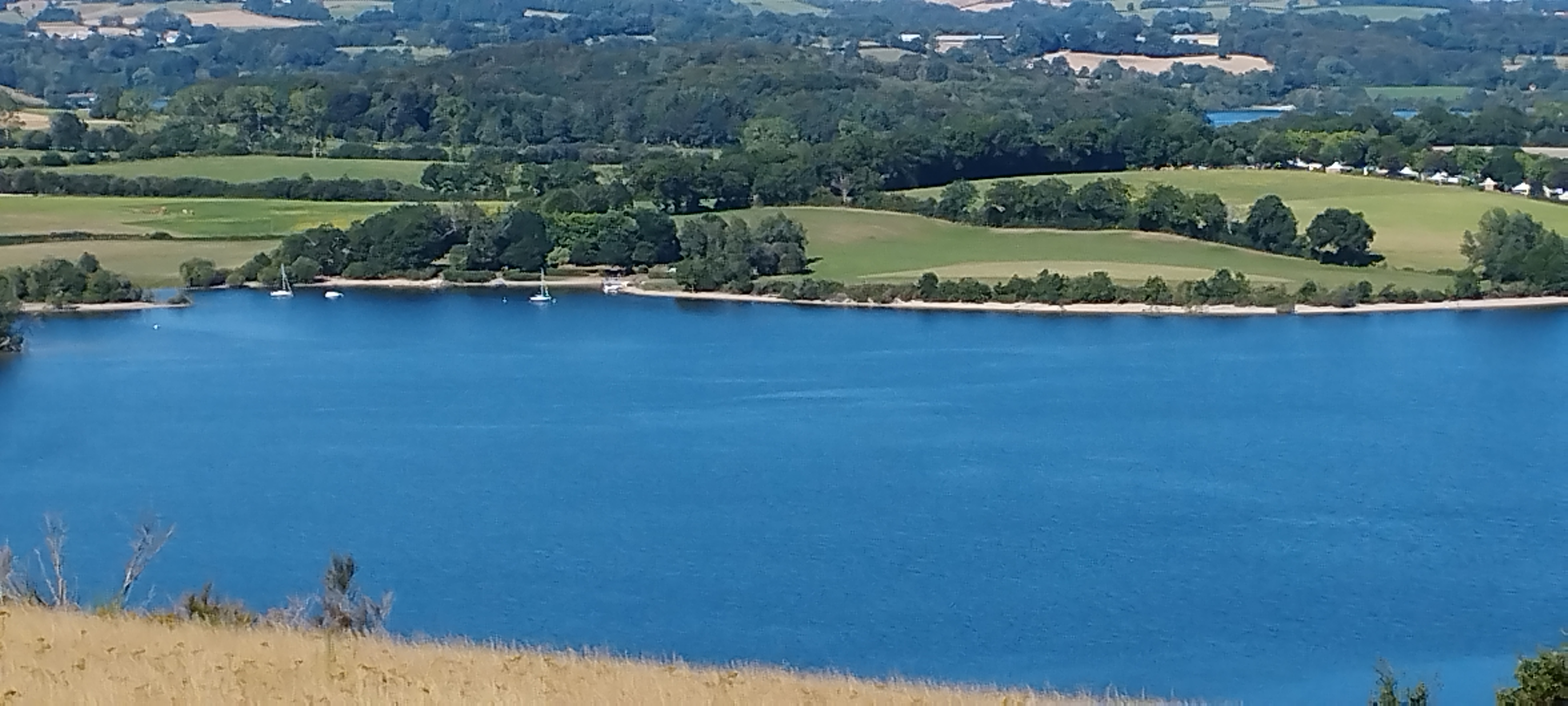 Photo n° 1 de l'avis de Landais.a fait le 21/08/2023 à 19:10