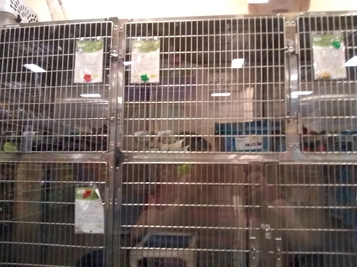 Pet Supply Store «PetSmart», reviews and photos, 860 NE Mall Blvd, Hurst, TX 76053, USA