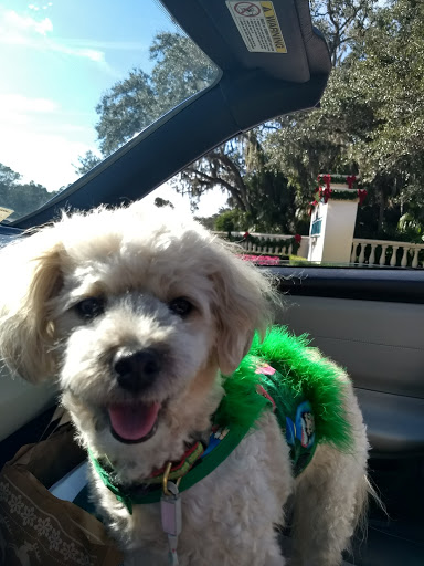 Public Golf Course «University Park Country Club», reviews and photos, 7671 The Park Blvd, University Park, FL 34201, USA