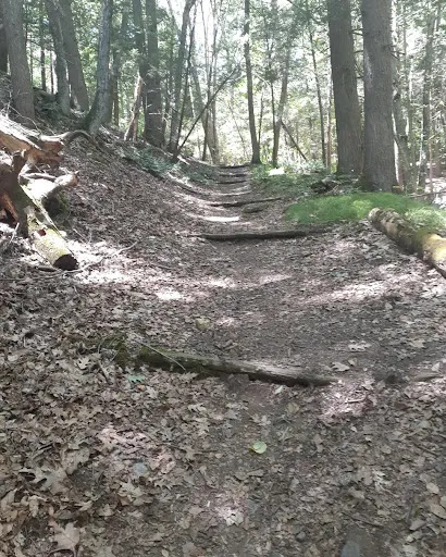 Nature Preserve «Mianus River Gorge Preserve», reviews and photos, 167 Mianus River Rd, Bedford, NY 10506, USA