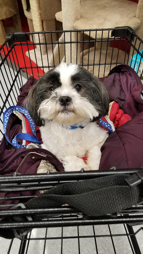 Pet Supply Store «Petco Animal Supplies», reviews and photos, 473 State Rd, North Dartmouth, MA 02747, USA