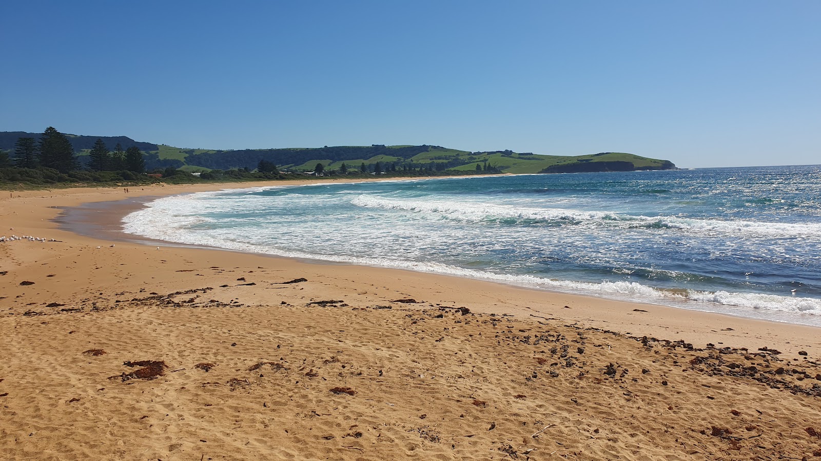 Foto de Werri Beach com areia bege fina superfície