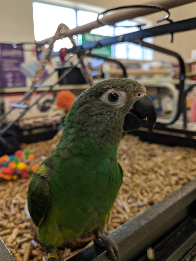 Pet Supply Store «Pet Supplies Plus», reviews and photos, 411 Commack Rd, Deer Park, NY 11729, USA