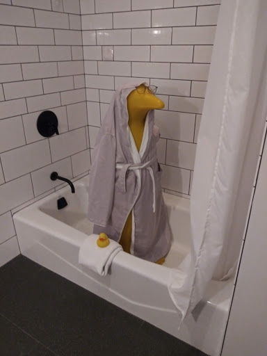 Hotel «21c Museum Hotel Cincinnati», reviews and photos, 609 Walnut St, Cincinnati, OH 45202, USA