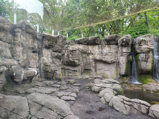 Zoo «Prospect Park Zoo», reviews and photos, 450 Flatbush Ave, Brooklyn, NY 11225, USA