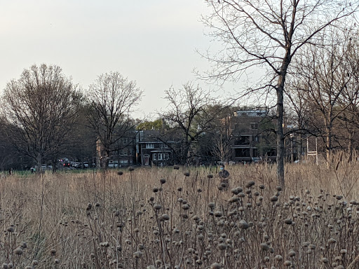 Park «Winnemac Park», reviews and photos, 5100 N Leavitt St, Chicago, IL 60625, USA
