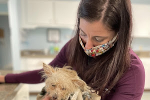 Whole Pet Veterinary Hospital - Wilmington