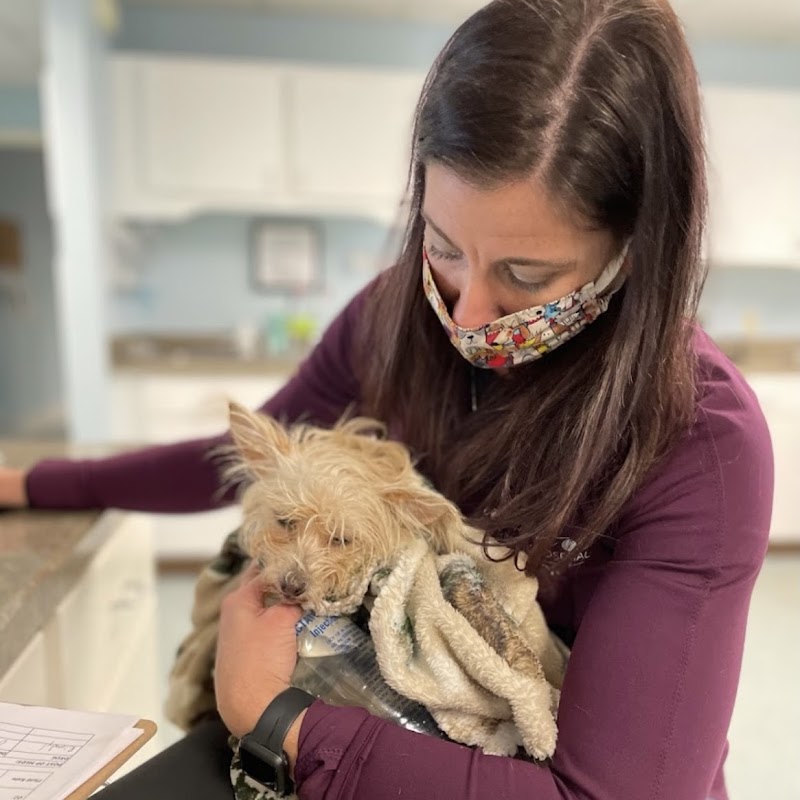 Whole Pet Veterinary Hospital - Wilmington