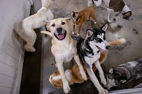 Bone Sweet Bone - Arts District - Photo 4 - Car repair in Los Angeles, CA, East Los Angeles