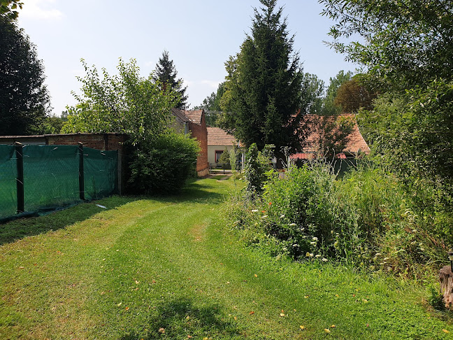 Opinii despre camping-mindszent în Mindszentgodisa - Kemping