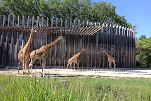 Lyon Zoo image