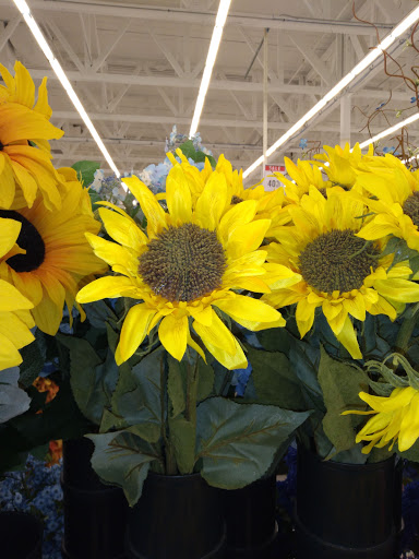 Craft Store «Hobby Lobby», reviews and photos, 3925 Dodge St, Dubuque, IA 52003, USA