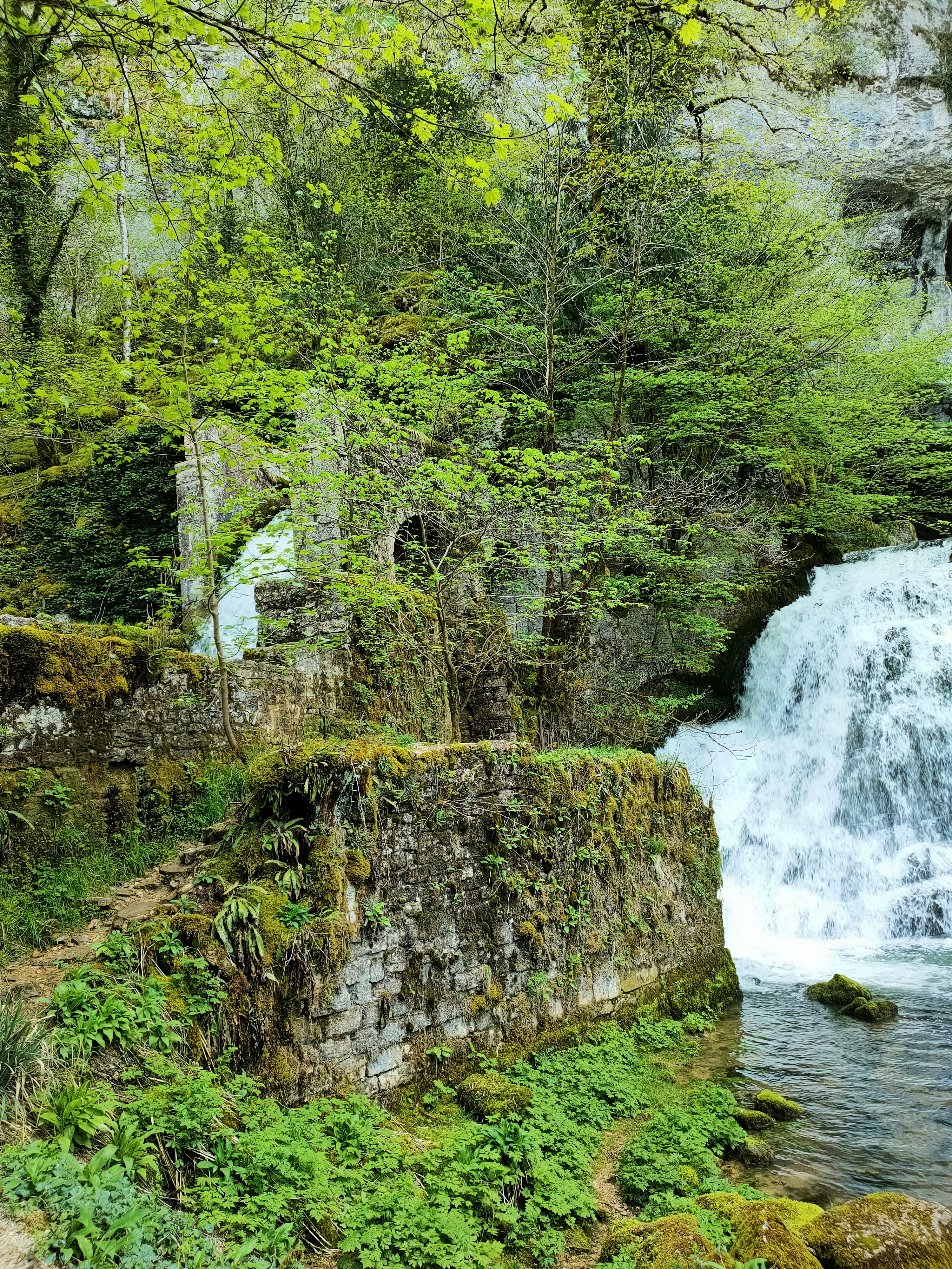 Photo n° 11 de l'avis de Tchov. fait le 29/04/2023 à 17:37