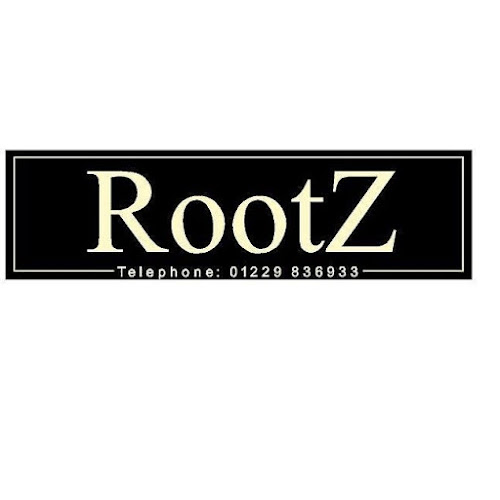 Comments and reviews of Rootz