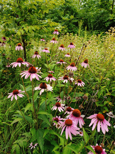 National Park «Coldwater Spring», reviews and photos, 5601 Minnehaha Park Dr S, Minneapolis, MN 55417, USA