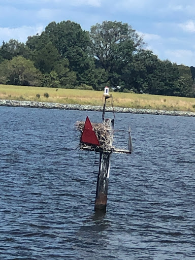 Boat Tour Agency «Patriot Cruises», reviews and photos, 213 N Talbot St, St Michaels, MD 21663, USA