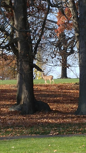 Public Golf Course «Pelham Bay & Split Rock Golf Courses», reviews and photos, 870 Shore Rd, Bronx, NY 10464, USA