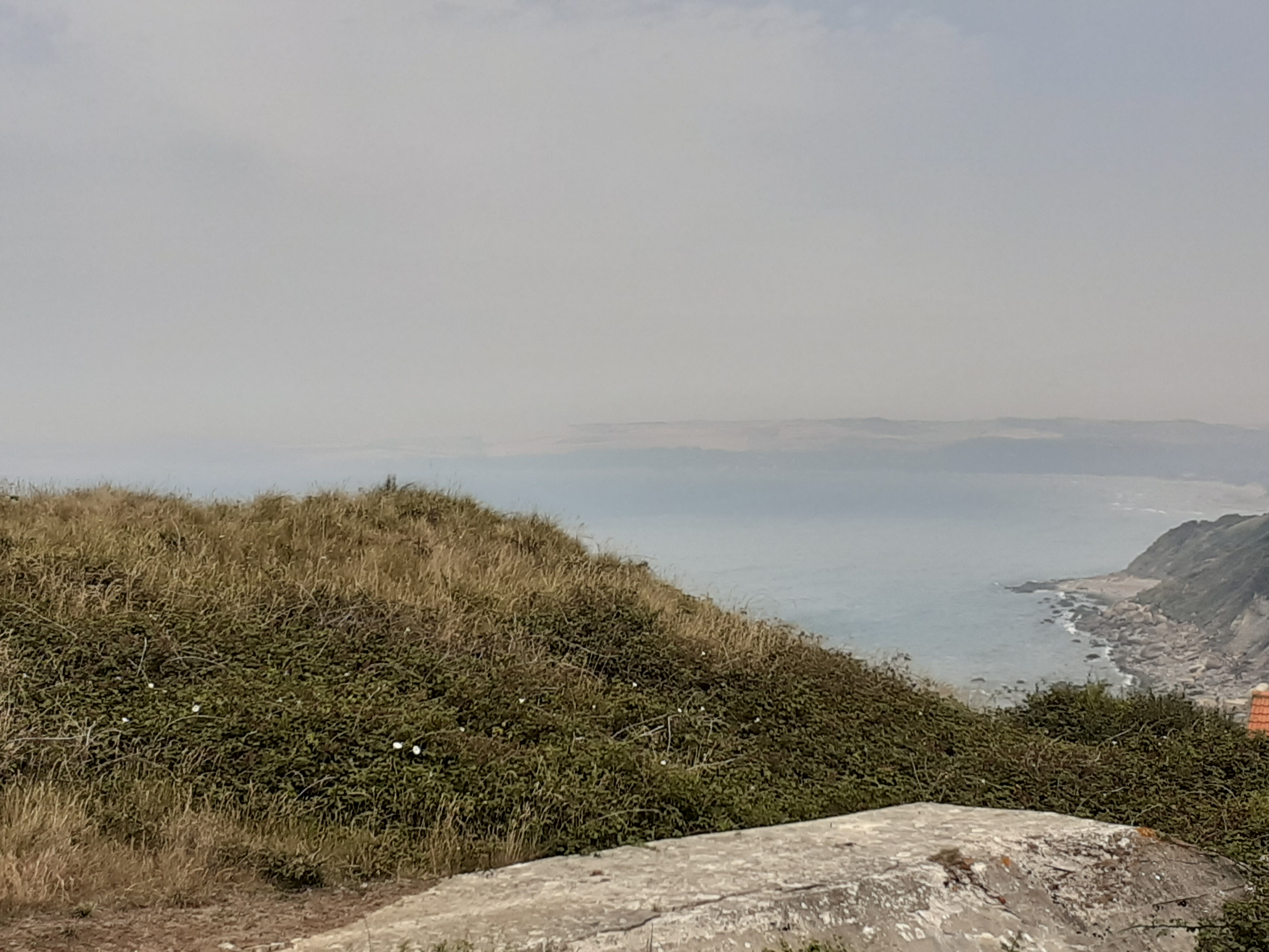 Photo n° 1 de l'avis de C.r fait le 10/08/2020 à 19:43