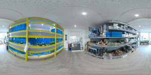 Photo n°4 de MINIAQUA77 à La Ferté-Gaucher ()