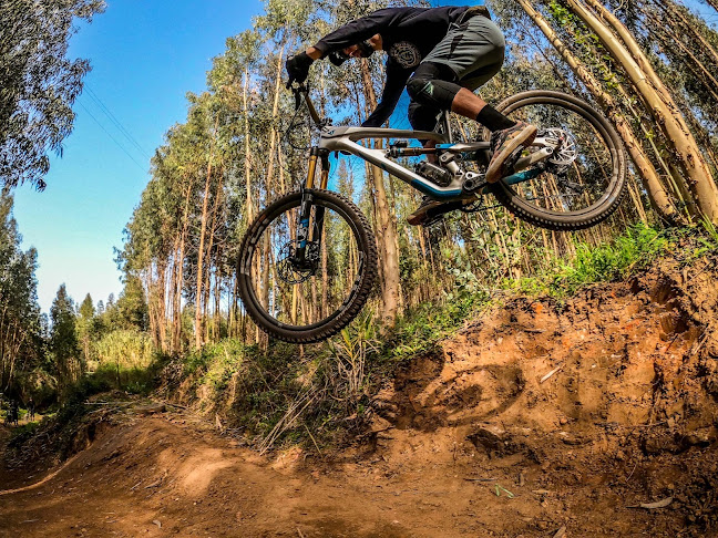 Avaliações doSalgueirinha Bike Yard em Caldas da Rainha - Campo de futebol