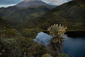 Nevado Del Tolima image