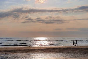 Beach for dogs in Rimini image