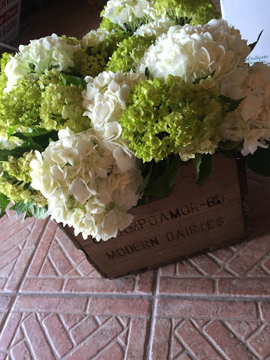 Florist «Roses Just Because/Hub Florist Of Lutz», reviews and photos, 18721 N Dale Mabry Hwy, Lutz, FL 33548, USA