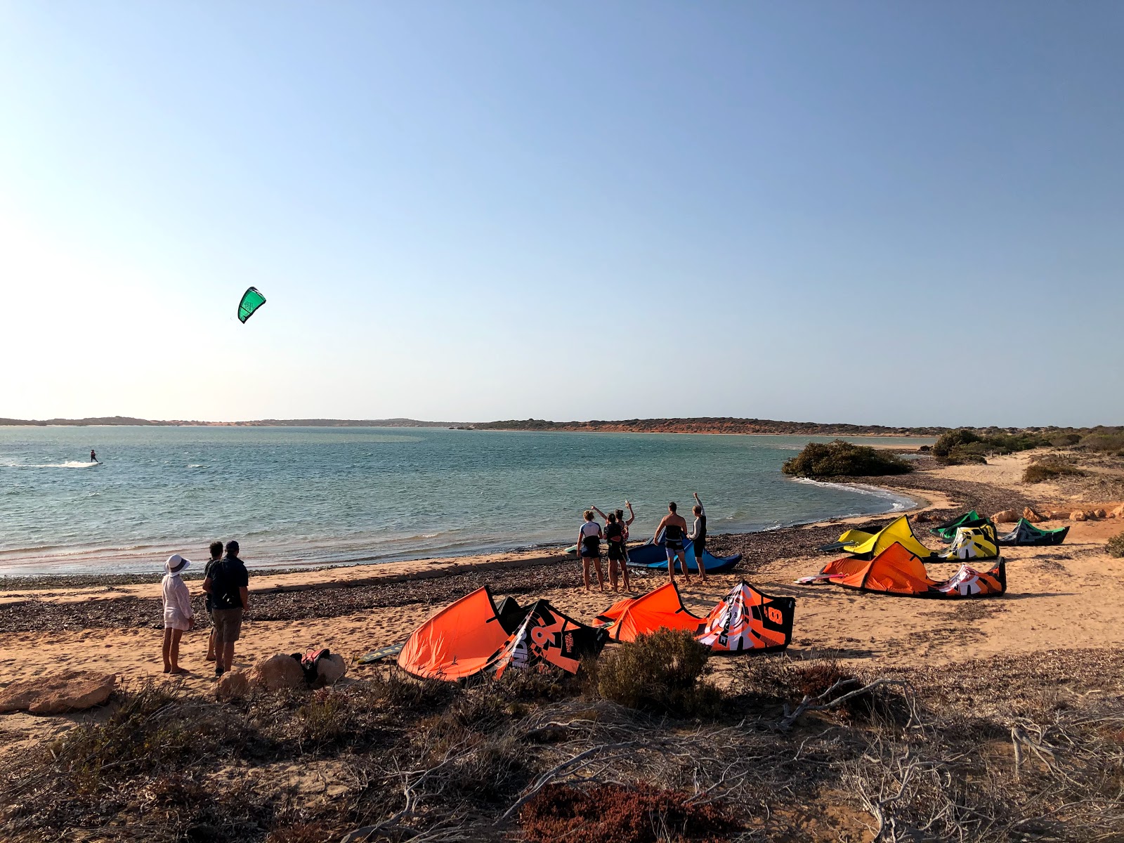Fotografija Nicholson Point Shark Bay nahaja se v naravnem okolju
