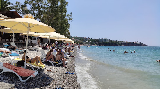 Paralia Verga